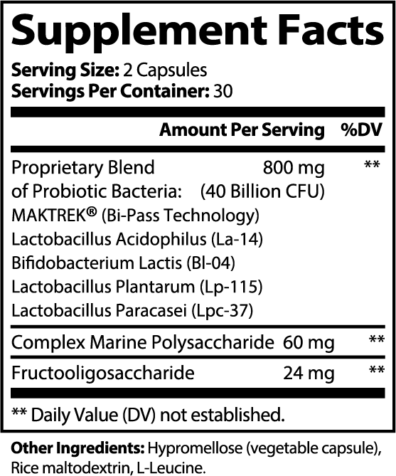 WAYFINDER PROBIOTIC