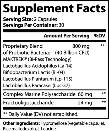 WAYFINDER PROBIOTIC